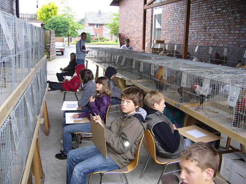 Haehnewettkraehen 2009 004.jpg